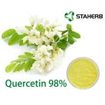 117-39-5 Sophora japonica extract quercetin