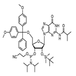  5'-DMT-2'-TBDMS-N2-ibu-rG phosphoramidite