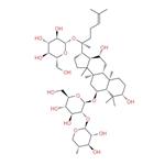 Notoginsenoside R1