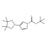 1-Boc-pyrazole-4-boronic acid pinacol ester