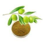 Olive leaf extract