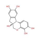 Hematoxylin