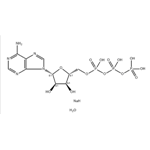  Adenosine 5'-Triphosphate Disodium Salt Hydrate