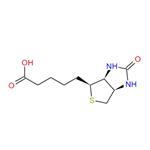 D-Biotin; Vitamin B7