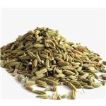 Fennel Oil