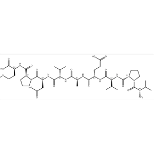 V-9-M cholecystokinin nonapeptide