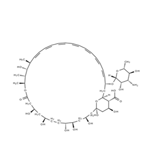 Amphotericin B