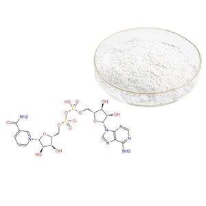 β-Nicotinamide adenine dinucleotide