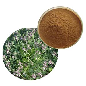 Corydalis bungeana extract