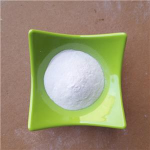 GLYCEROPHOSPHATE CALCIUM SALT