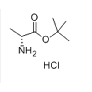 D-Alanine tert-butyl ester hydrochloride