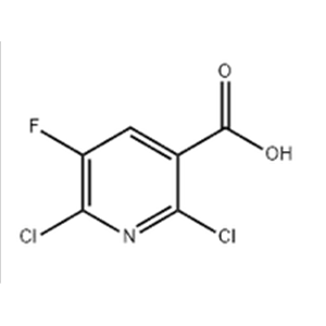 2,6-Dichloro-5-fluoronicotinic acid