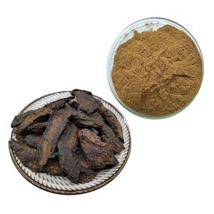 Rehmannia Extract