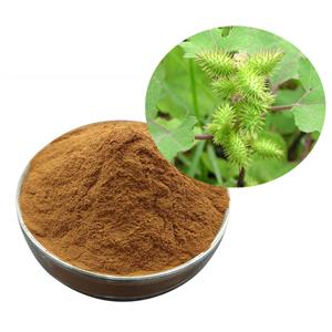 Xanthium Extract