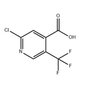 2-Chloro-5-(trifluoromethyl)isonicotinic acid 