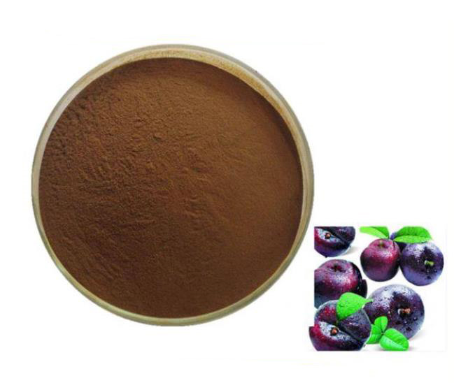 Black plum powder