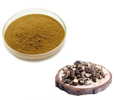 Chinese Thorowax Root P.E.