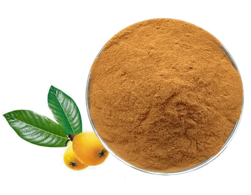 Loquat leaf powder