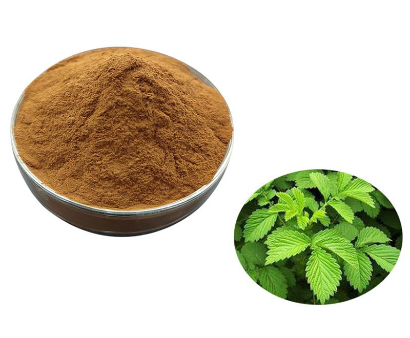 Agrimory Extract