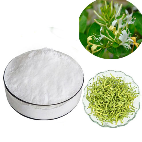 Chlorogenic Acid Honegsukle Flower extract