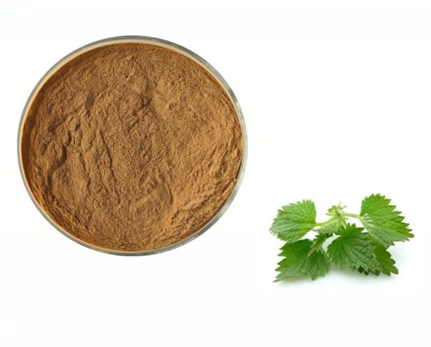 Urtica cannabina powder