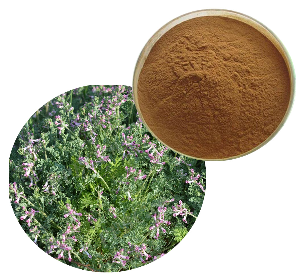 Corydalis bungeana extract