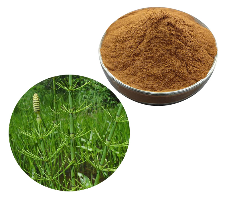 Horsetail Extract