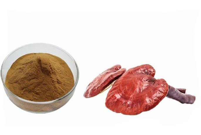 Ganoderma lucidum powder