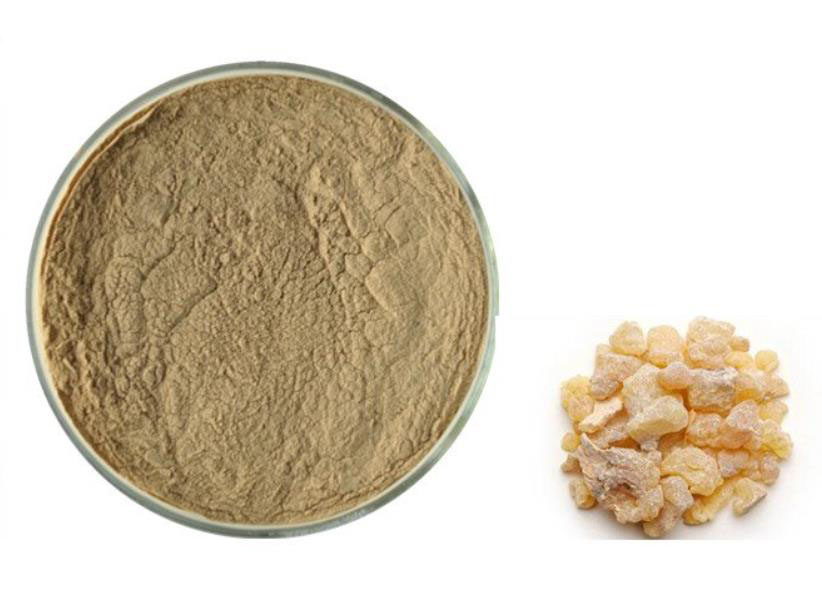 Boswellia extract