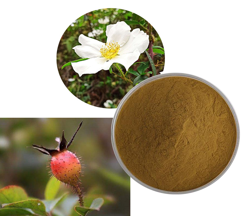 Cherokee Rose extract