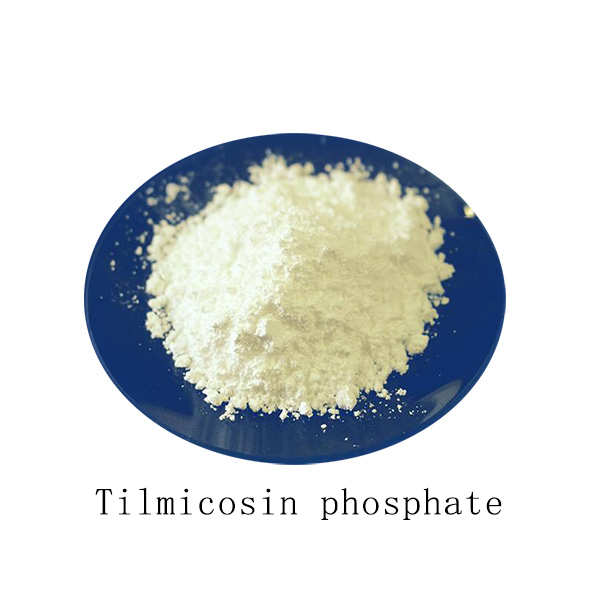 Tilmicosin phosphate