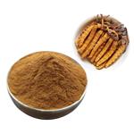 Cordyceps Extract