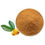 Loquat leaf powder