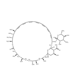 Amphotericin B