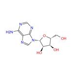 58-61-7 Adenosine