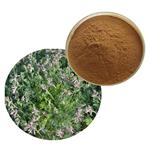 Corydalis bungeana extract