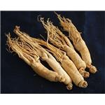 Ginseng extract