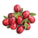 Cranberry extract