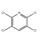 2,3,5,6-Tetrachloropyridine