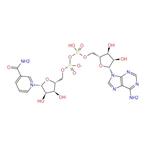 β-Nicotinamide adenine dinucleotide