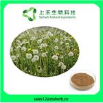 DANDELION POWDER