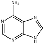 Adenine