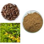 Weeping Forsythia Extract CP2000