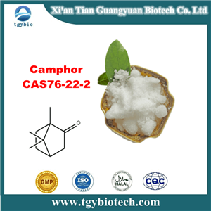 Camphor