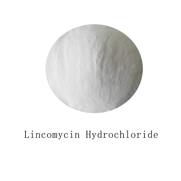 Lincomycin Hydrochloride