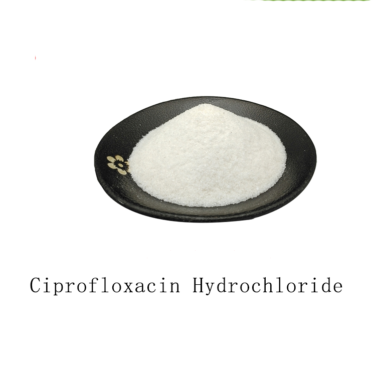 Ciprofloxacin Hydrochloride