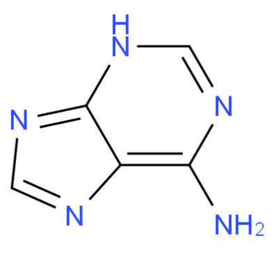 Adenine