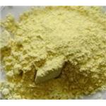 Ginseng Extract