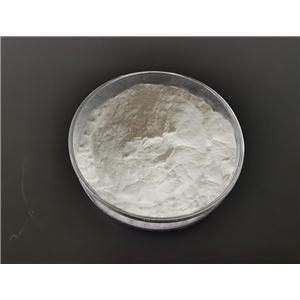 XANTHAN GUM