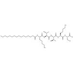 Palmitoyl Pentapeptide